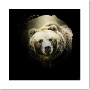 Grizzly Bear Animal Wildlife Forest Nature Adventure Hunt Spotlight Posters and Art